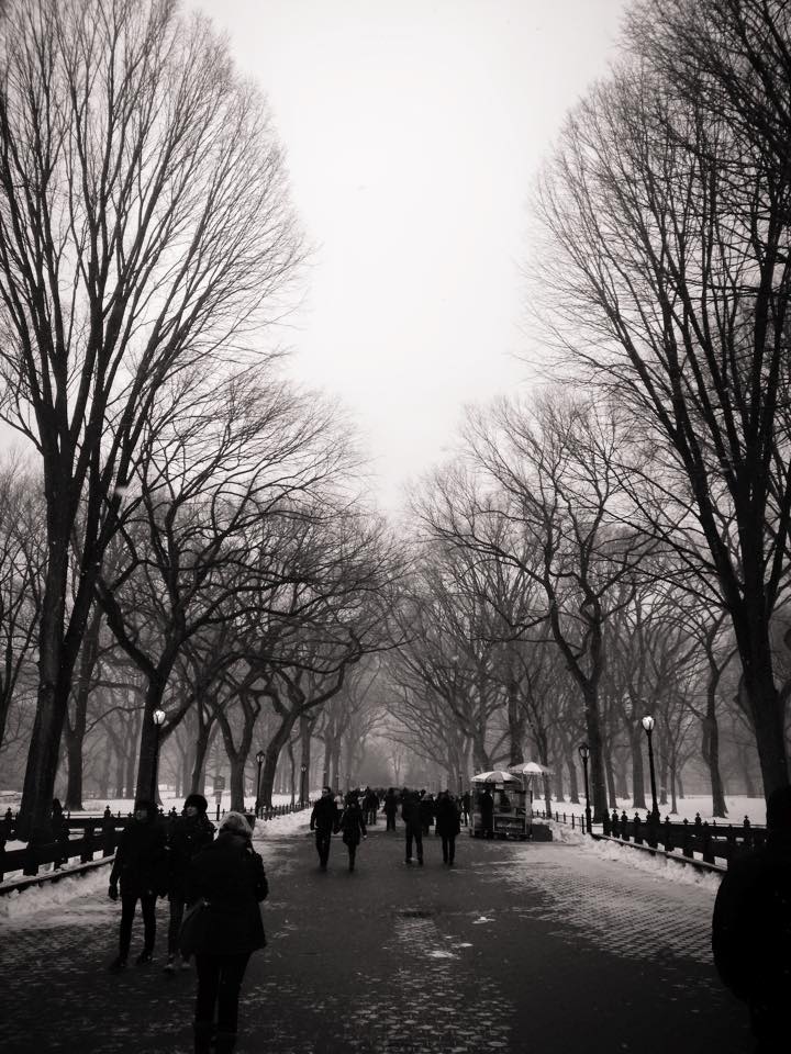 11000885_10153054421349976_9051475249509328708_n