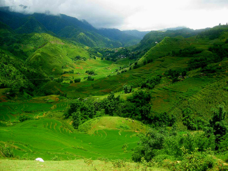 SaPa