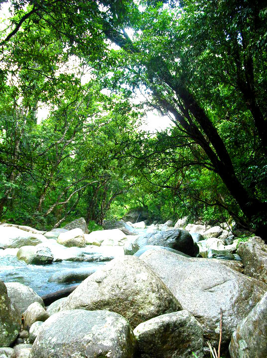 Josephine Falls and Crystal&nbsp;Creek