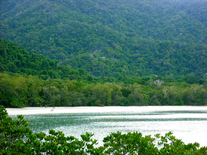 Daintree rainforest – Cape&nbsp;Tribulation