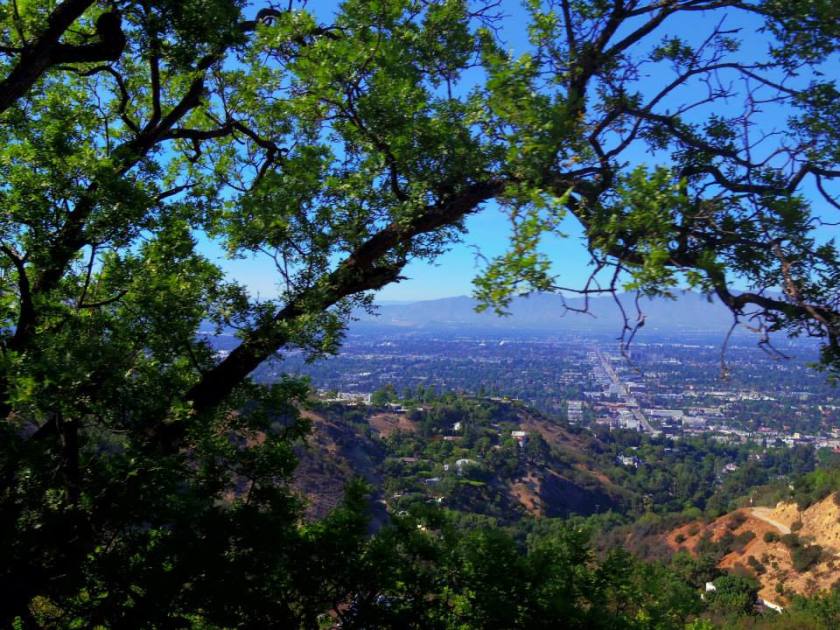 1012446_10151788970784976_1353896796_n