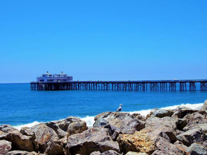 1014183_10151788970104976_1580135797_n