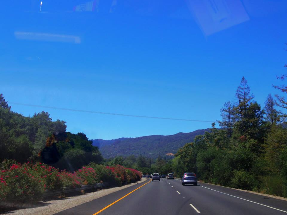 1017574_10151788969074976_1711329675_n