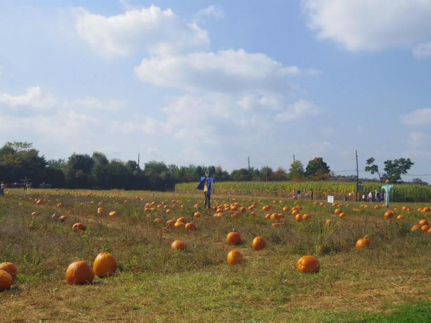 1378698_10151927059884976_1617928493_n