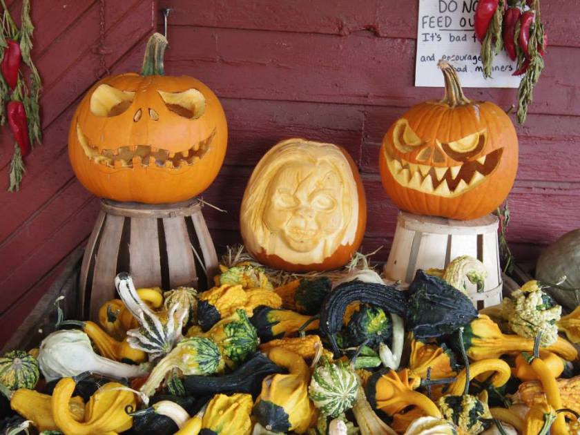 1390480_10151927062439976_946417096_n