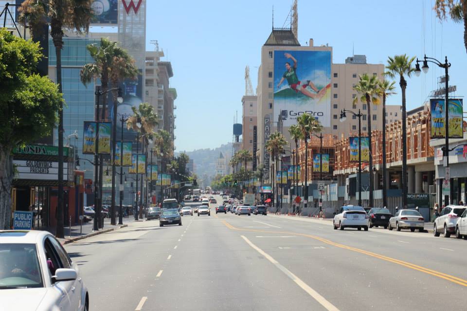 523408_10151788971354976_805312442_n