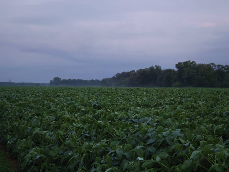 545903_10151841790034976_1819420576_n