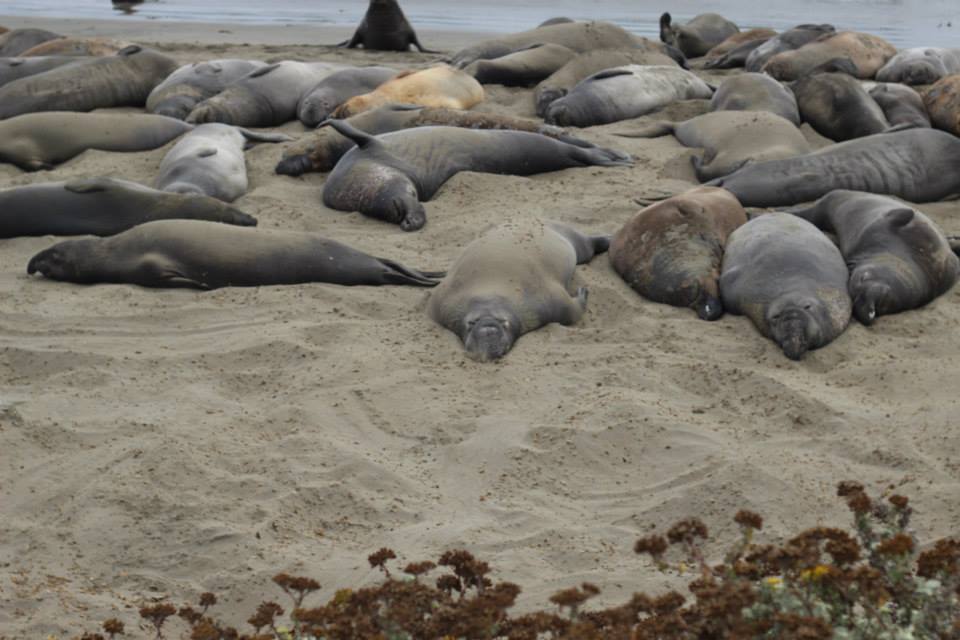 553094_10151788969604976_869198674_n