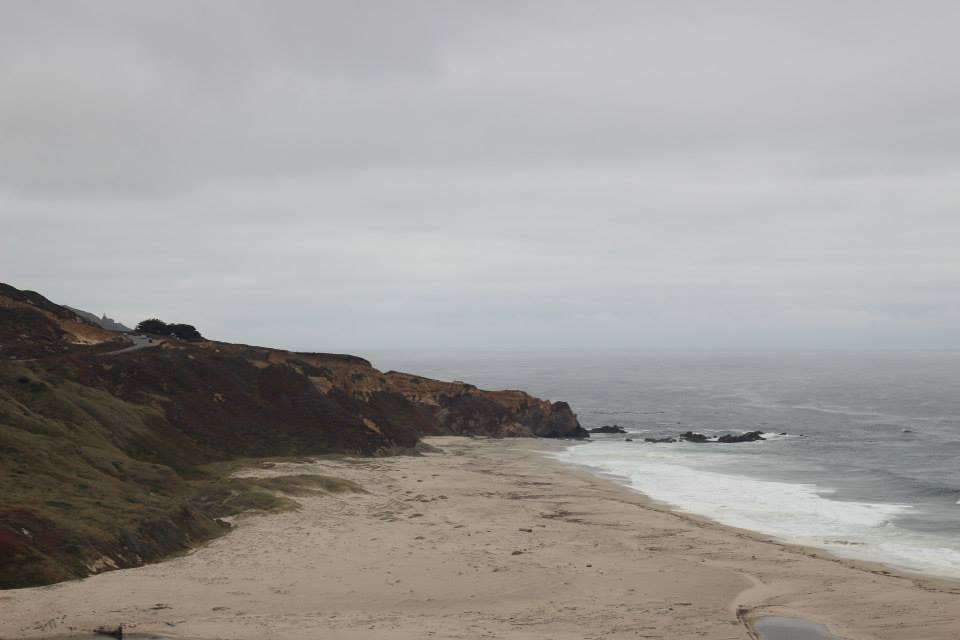 561493_10151788969149976_2085058186_n