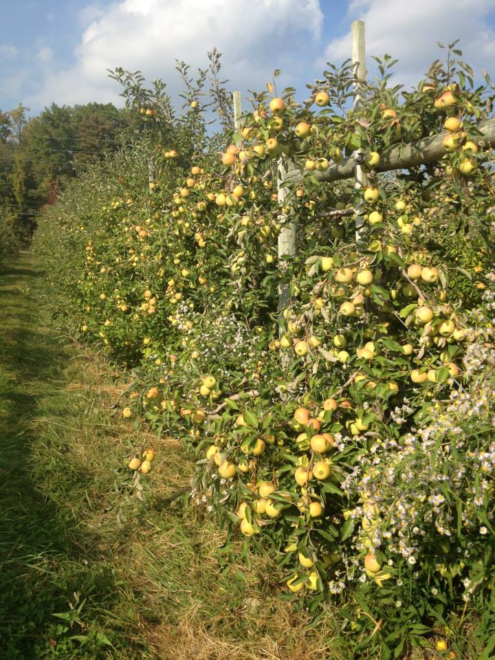 579156_10151927058724976_1305428350_n