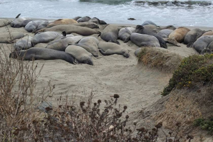 970321_10151788969434976_1417695199_n