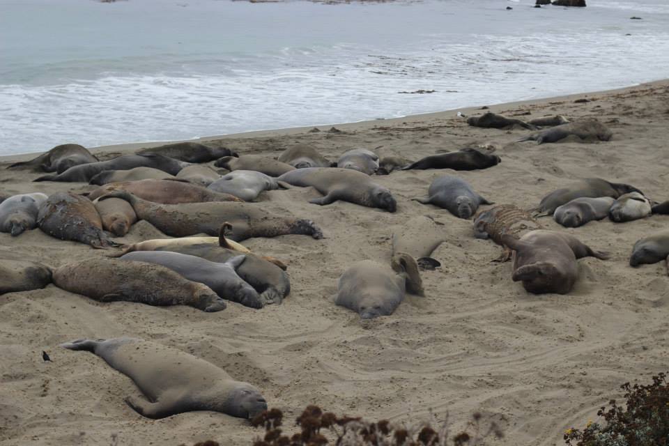 971021_10151788969489976_386659671_n