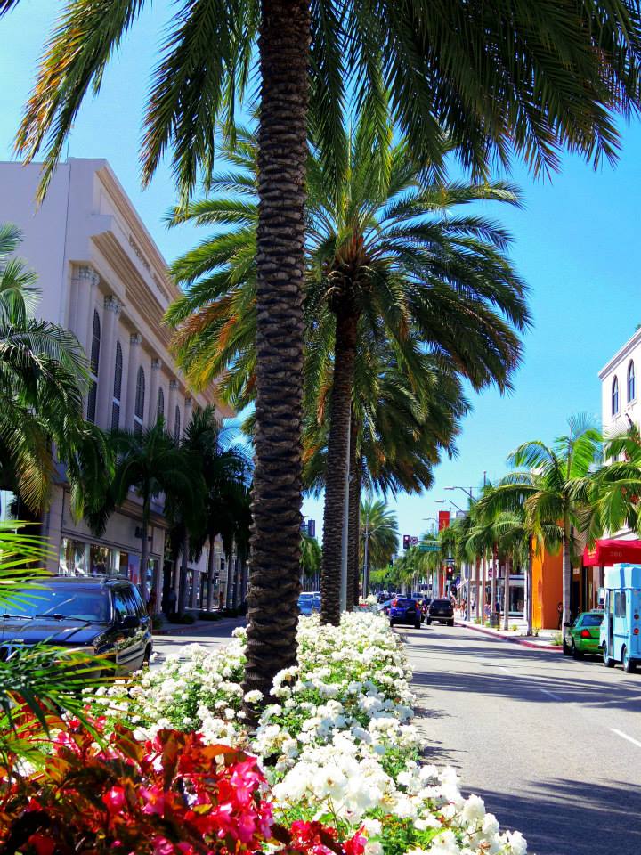 988282_10151788970494976_396071650_n