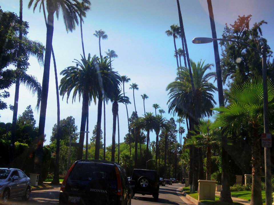 driving through beverly hills