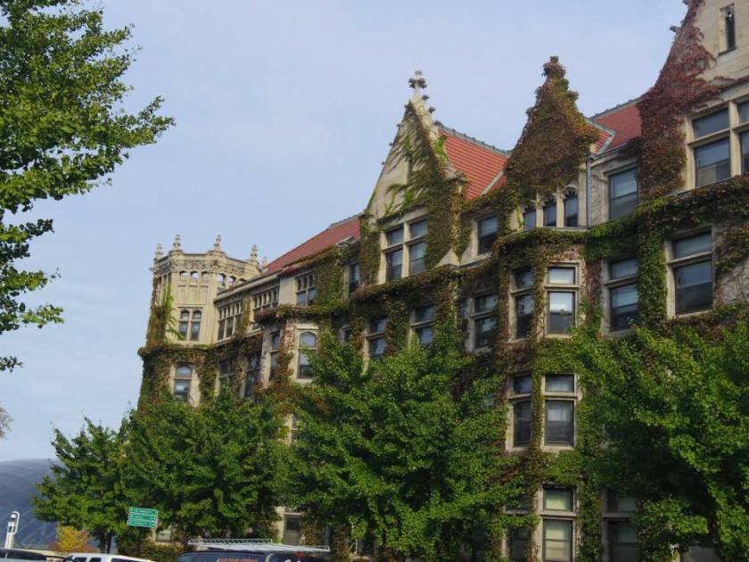 1454725_10151983408444976_954048464_n