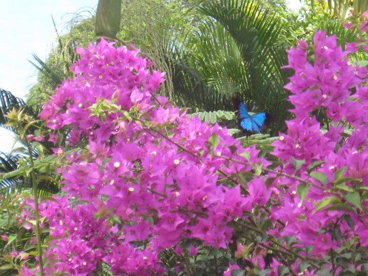 38747_443342099975_385418_n