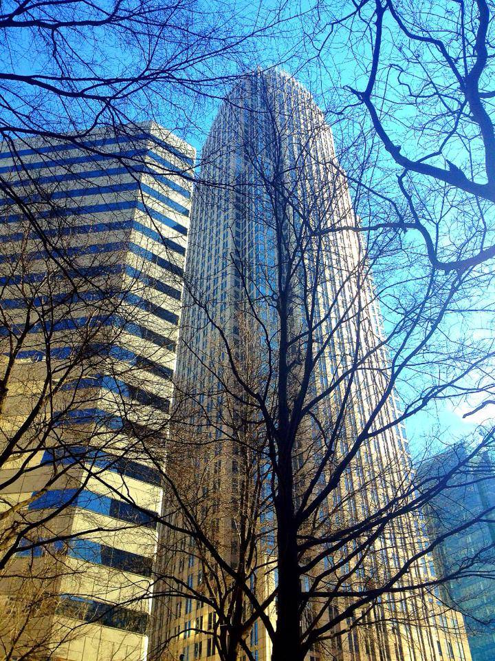 1013857_10152280959304976_294201597_n