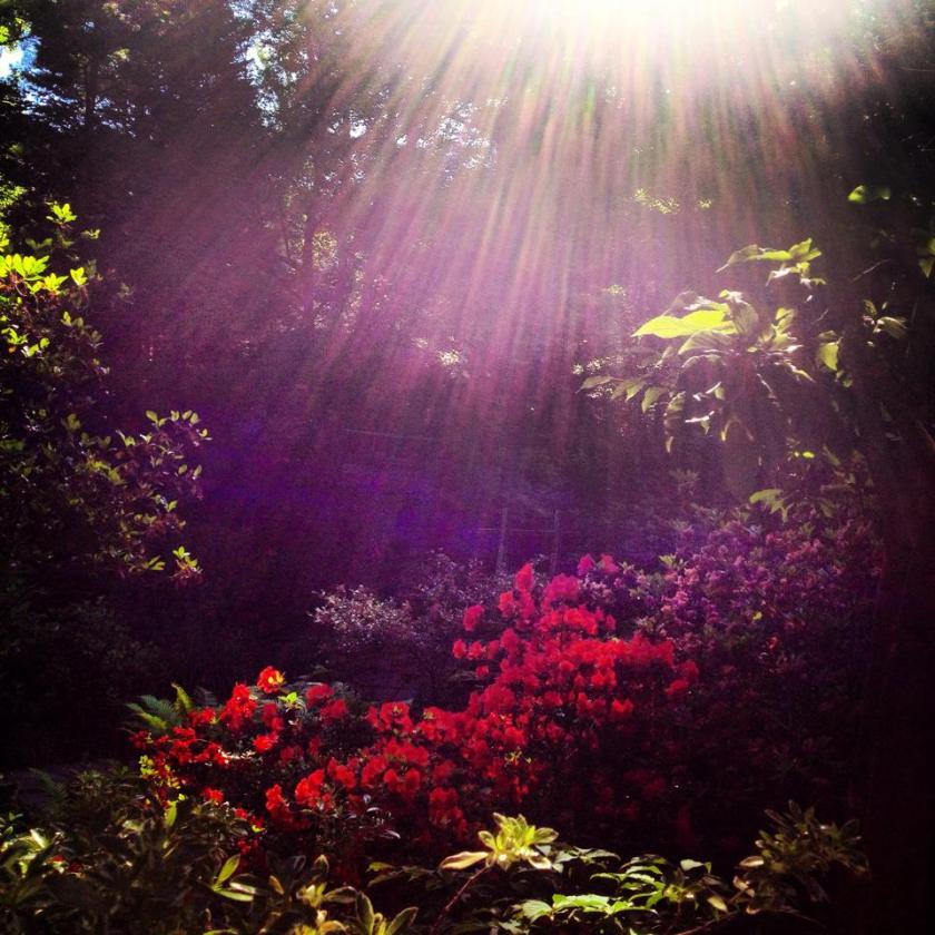 10172617_10152389969639976_3296118485436410955_n