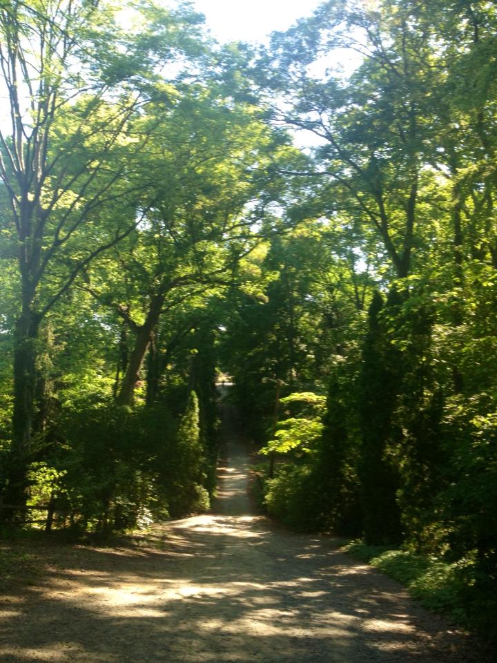 10269606_10152389969004976_8124573572228226514_n