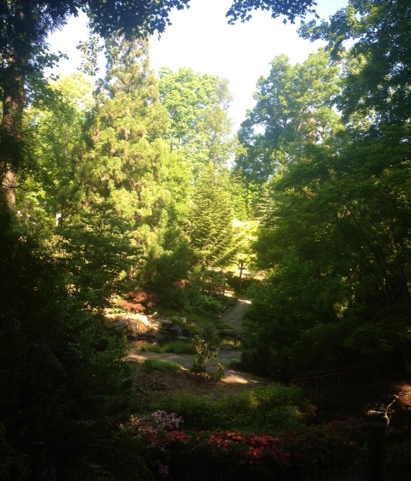 10341463_10152389969399976_7669370923173807281_n