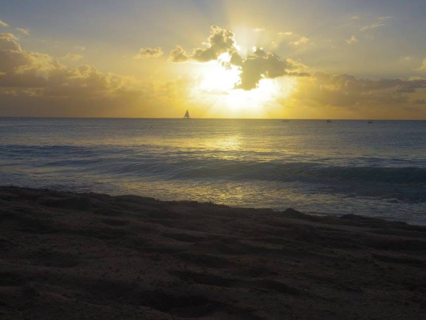 12657804_10153845119534976_2170744401960323721_o