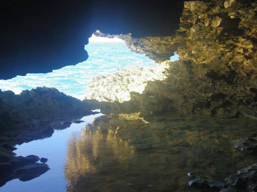 12657842_10153845121149976_8036051956294949863_o