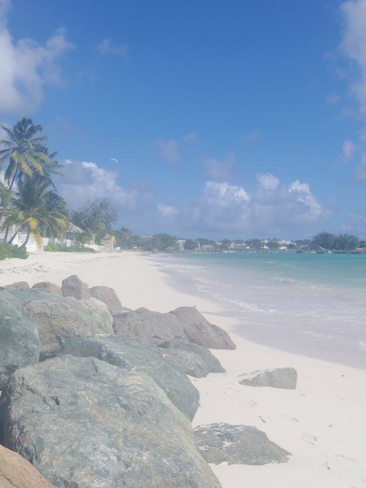 12672197_10153845119389976_5241386670798330726_o