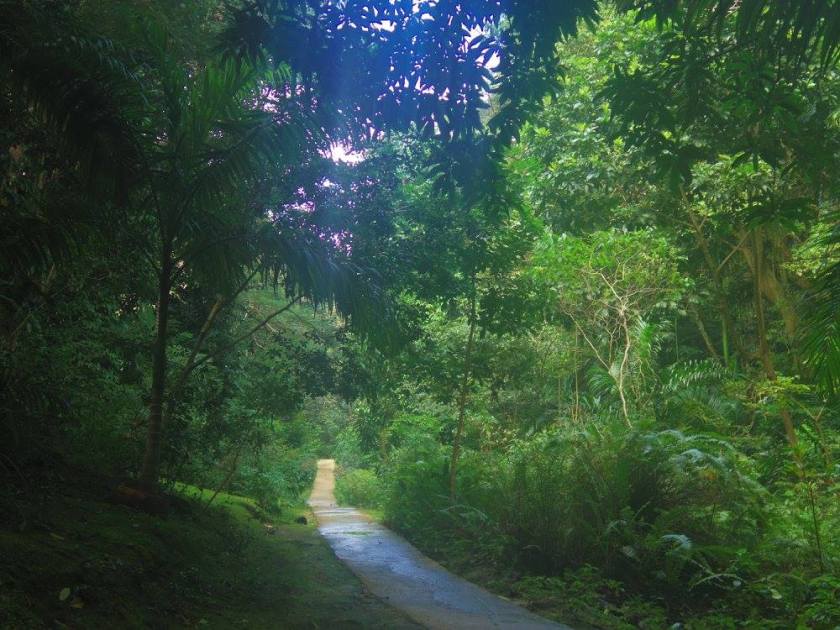 12698443_10153845121659976_10874061205530310_o