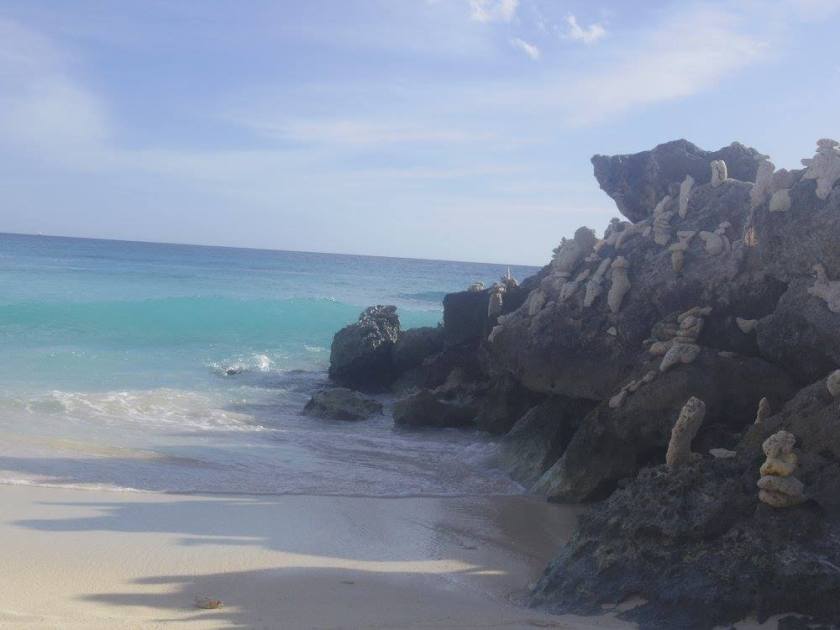 12710757_10153845119454976_794735093980611339_o