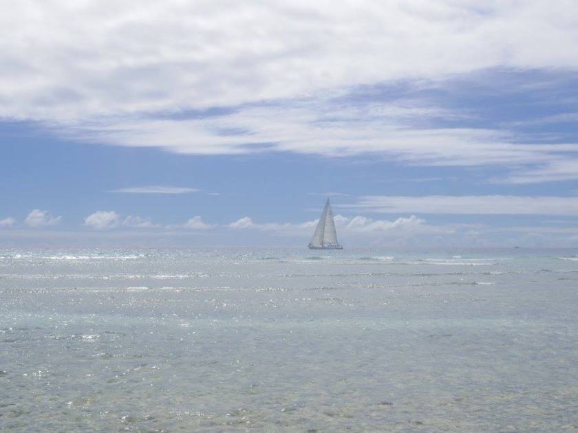 12715940_10153845119269976_6904040056989391799_o