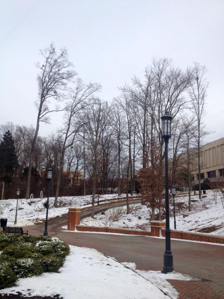 1622749_10152195688004976_826734092_n