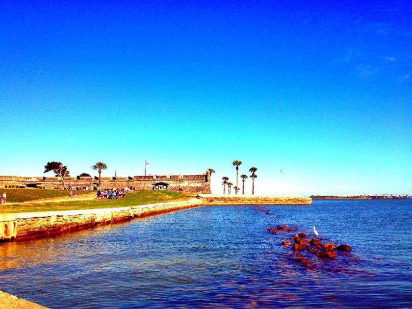 1780616_10152263790859976_1346537085_n