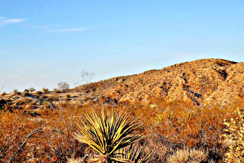 1001561_10151788971999976_522649060_n