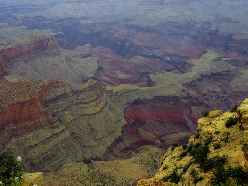 1006054_10151823343509976_1326387152_n