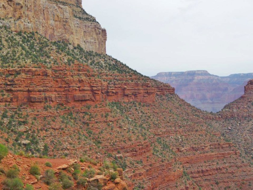 1006331_10151823340254976_1037743567_n