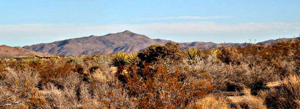 1011713_10151788972074976_1457581422_n