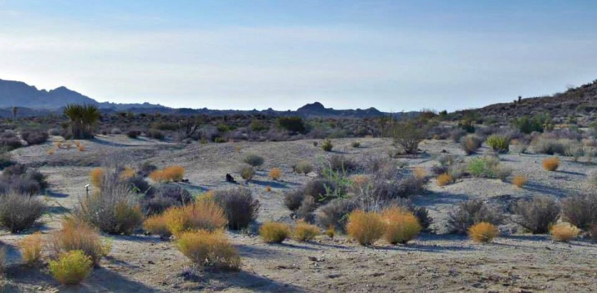 1012449_10151788972294976_1842444085_n