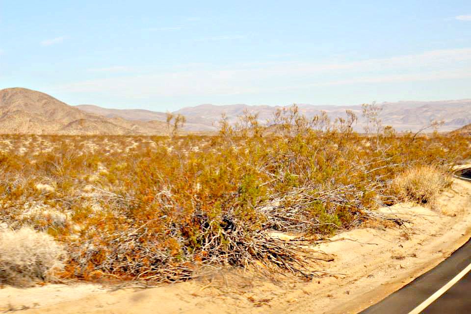 1017535_10151788972449976_1305480829_n