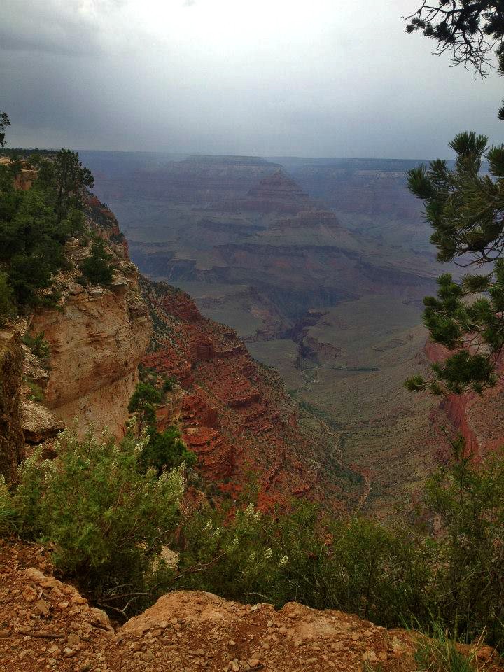 1175643_10151823339049976_1692033604_n