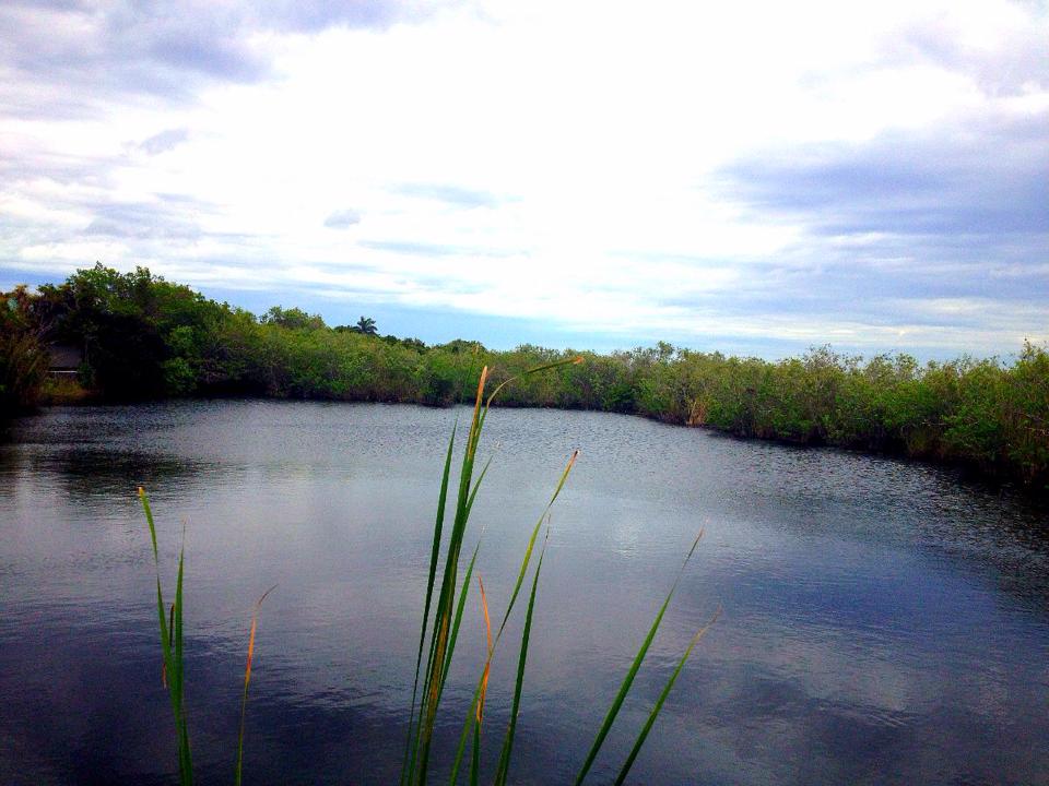 1939465_10152266675939976_1517585119_n