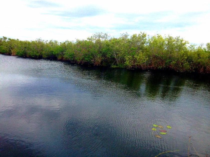 1959960_10152266675524976_1519669711_n