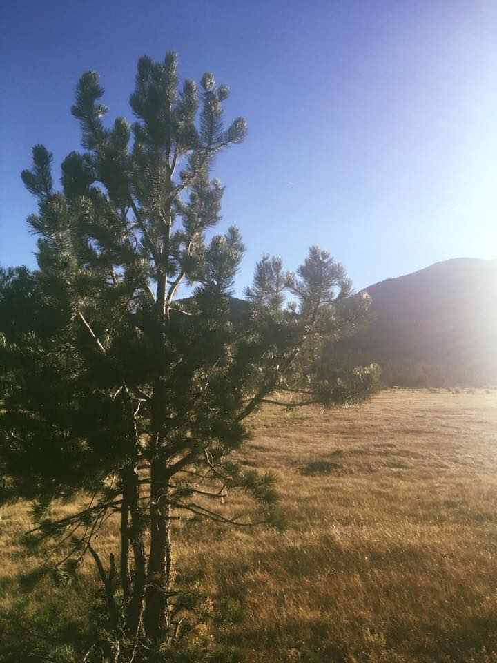 22007821_10155621081359976_1956248582602944377_n