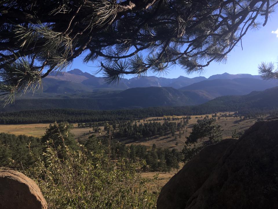 22045641_10155621080704976_1333929641632646179_n