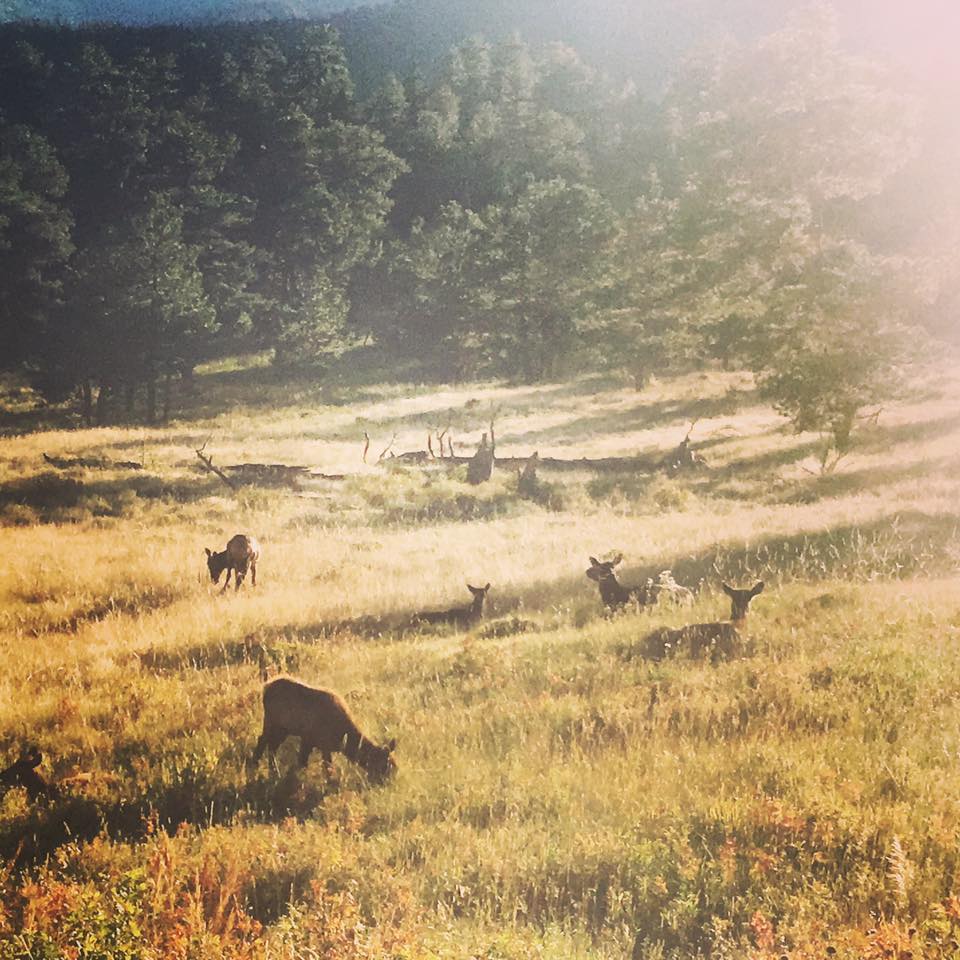 22045946_10155621082434976_8885789444566764913_n