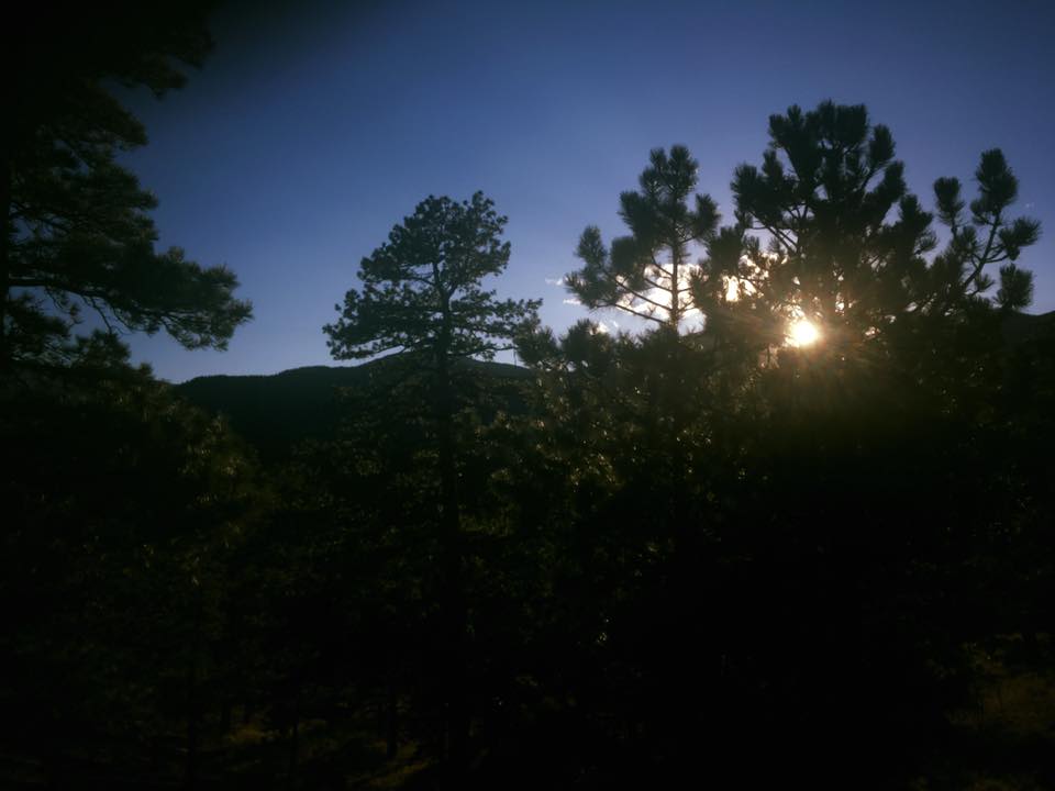 22046171_10155621081674976_2393893439232321407_n