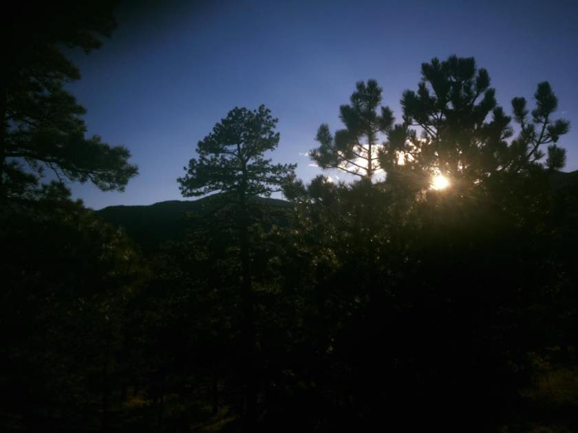 22046171_10155621081674976_2393893439232321407_n