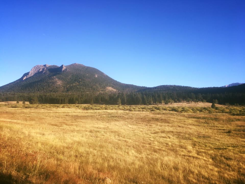 22046424_10155621081364976_2560847935553621545_n