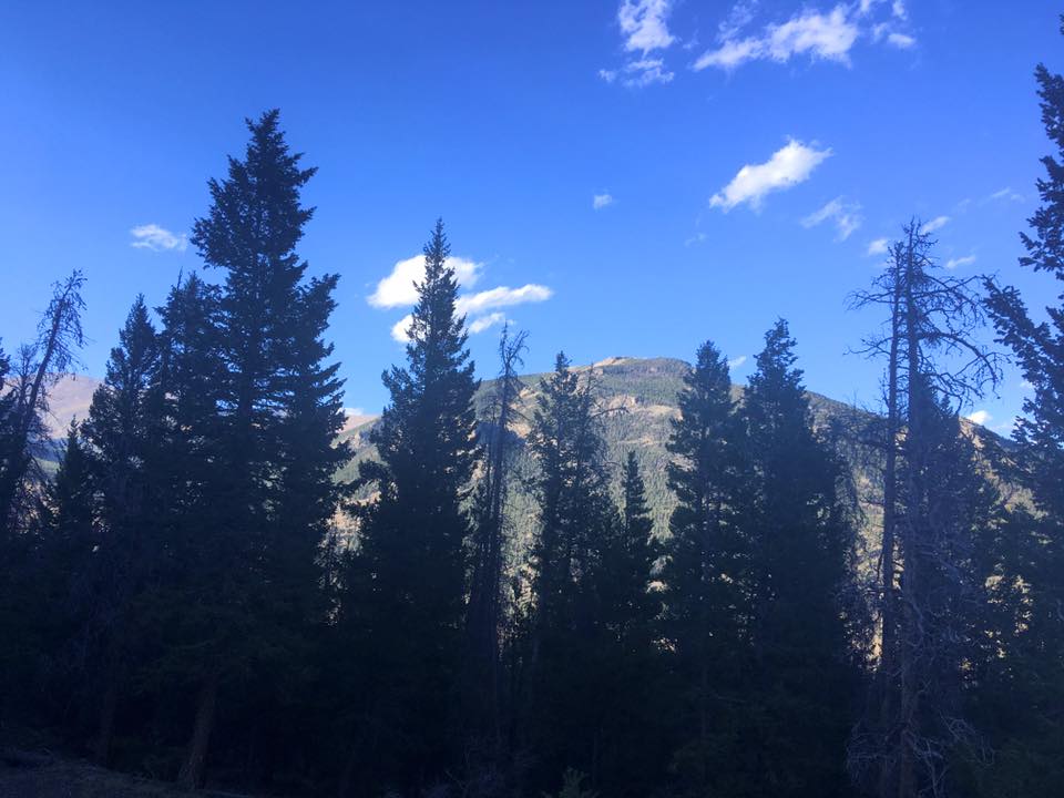 22046642_10155621080779976_7464968259505062145_n