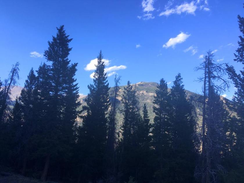 22046642_10155621080779976_7464968259505062145_n