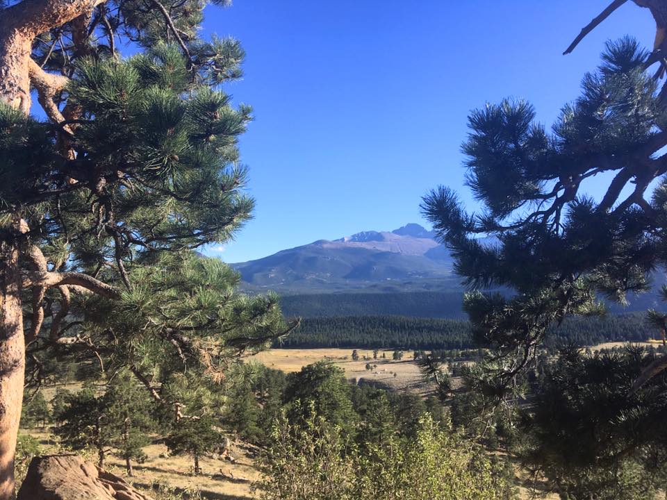 22089420_10155621080659976_8508152094647843522_n